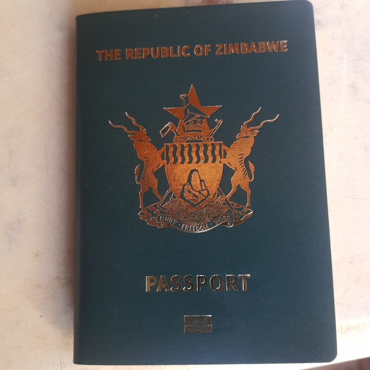 Understanding The Zimbabwean Permit Case GroundUp   Zim Permit Extra Large 